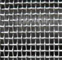 Galvanized insect screen 3