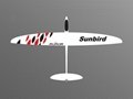 60'' Sunbird rc glider in full carbon version 2