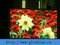 Indoor LED Display P6mm 3