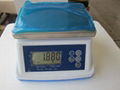 Electronic Waterproof Scale