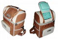 Carrying Cooler Bag, Ice Bag, Picnic Bag