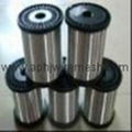 Galvanized iron wire 1