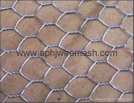 Hexagonal Wire Netting 1