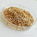 textured soy protein 1