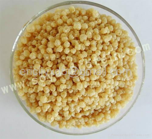 textured soy protein 2