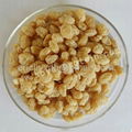 textured soy protein 1