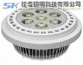 鰭片式12W LED內膽燈