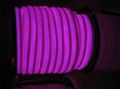 LED neon tube 1