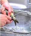 vegetable washing basket 3