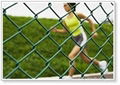 chain link wire mesh 2