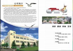 Hangzhou Leson leisure products .Co.LTD