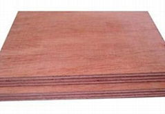 Marine plywood