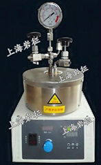 广州10-500ml微型高压反应釜