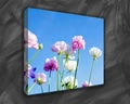 Canvas Prints 4