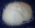 mono-ammonium phosphate 1