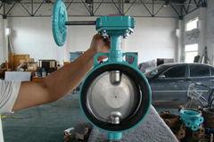 Anti-condensation Butterfly Valve