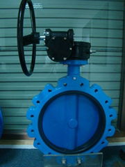 Lug Type Butterfly Valve