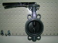 Full Rubber Lined Butterfly Valve