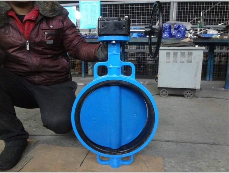 Worm  Gear  Operated Rubber Lined Butterfly Valve