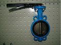 Desulfurization Butterfly Valve