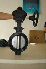 Butterfly Valve with Signal Output