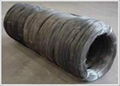 Black Annealed Wire