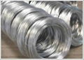 Galvanized Iron Wire