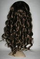 curly fashion style human hair lace wigs 1