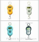 Digital hanging scale