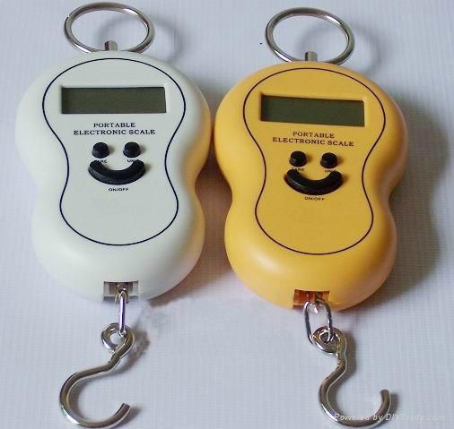 Digital hanging scale 2