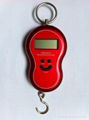 Digital hanging scale 3