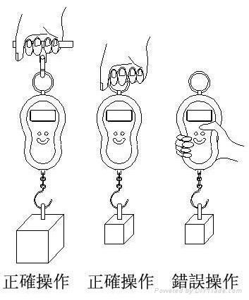 Digital hanging scale 4