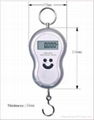 Digital hanging scale 5