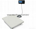 Digital postal scale