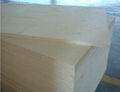 Good Quality Popolar Plywood