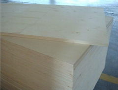 Good Quality Popolar Plywood