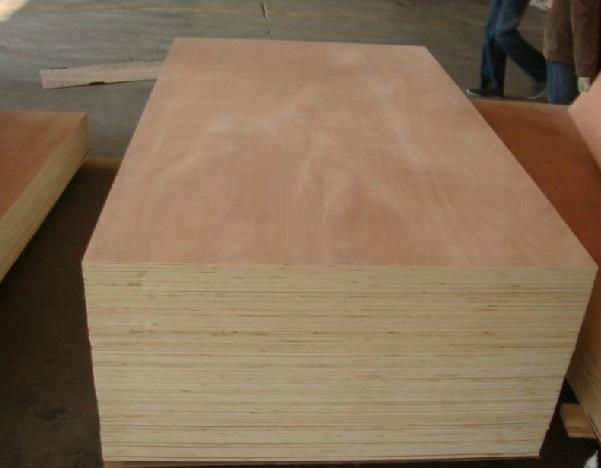 Good Quality Popolar Plywood 2