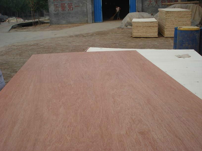 pine plywood 3