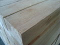 LVL & LVB plywood 3