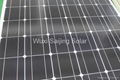 Mono-crystalline PV Module mono solar module