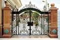 Beautiful Iron Gate 1