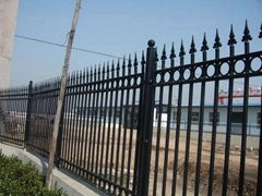 Yard Iron Fence