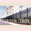 Iron Fence Panel