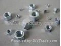 Hex Nuts