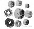 Hex Nuts 2