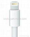 For iphone 5 lightning to 30 pin adapte 2