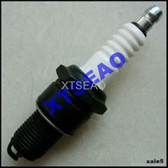 Automobile Spark Plug