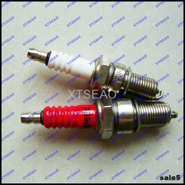 Platinum Spark Plug Factory 3