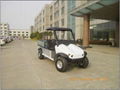 golf car with cargo box 1