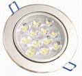 LED Ceiling Light 1